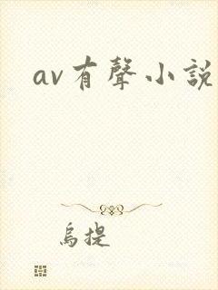 av有声小说