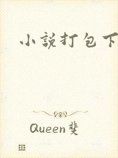 小说打包下载