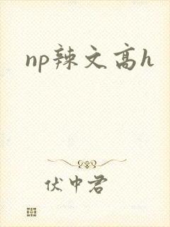 np辣文高h
