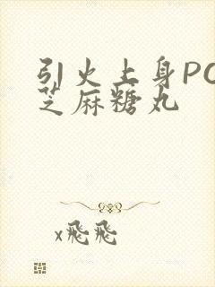 引火上身POP芝麻糖丸