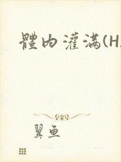 体内灌满(H)