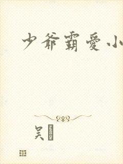 少爷霸爱小丫头