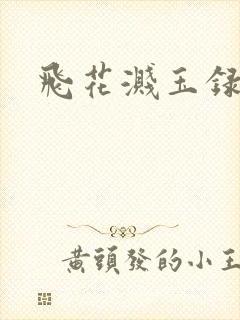 飞花溅玉录封面