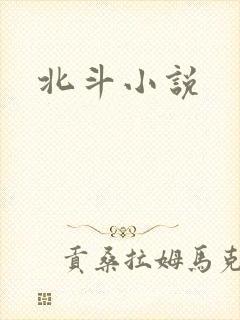 北斗小说
