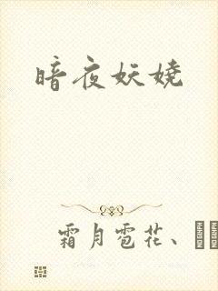 暗夜妖娆封面