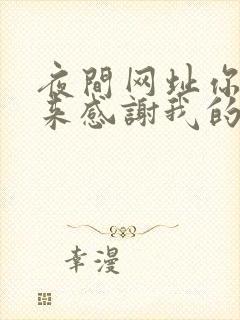 夜间网址你会回来感谢我的