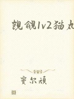 觊觎1v2猫丸