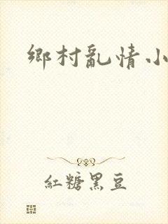 乡村乱情小说封面