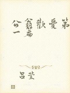 公翁欢爱第三十一篇