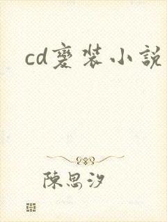 cd变装小说