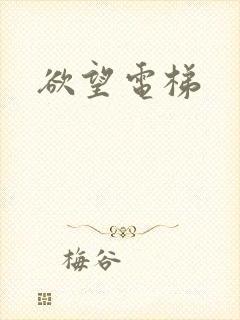 欲望电梯封面
