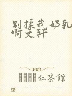 别揉我奶乳嗯～啊文轩