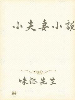 小夫妻小说