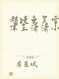 赵晓东吴雪晴郑伟王潇潇小说