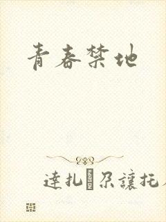 青春禁地封面