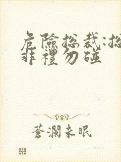 危险总裁:总裁非礼勿碰