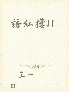 诱红楼11封面