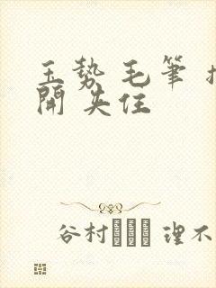 玉势 毛笔 撑开 夹住