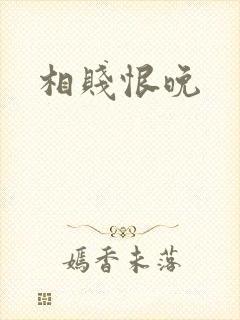 相贱恨晚封面