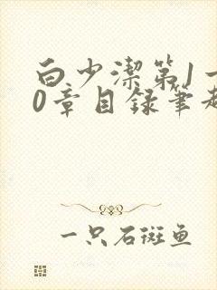 白少洁第1一40章目录笔趣阁