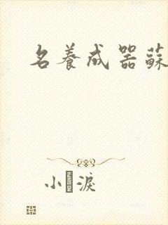 名养成器苏沫沫封面