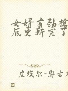 女婿有劲枪枪到底更新完了吗封面