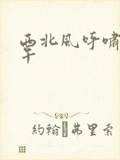 西北风呼啸的中午封面