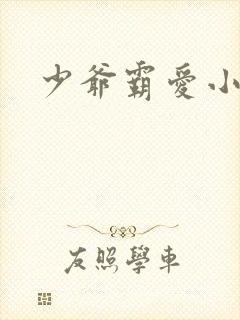 少爷霸爱小丫头