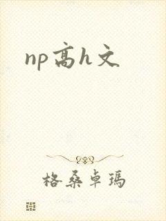 np高h文封面