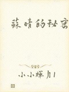 苏晴的秘密小说