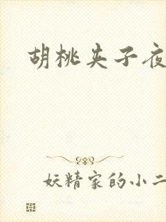 胡桃夹子夜未眠