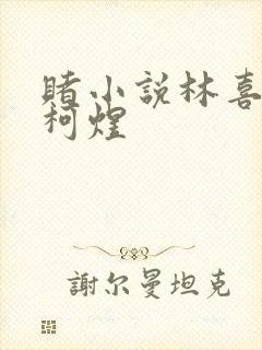 赌小说林喜朝和柯煜封面