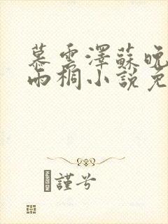 慕云泽苏晚晴夏雨桐小说免费阅读