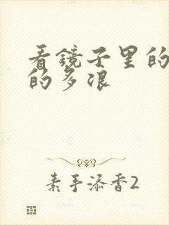 看镜子里的你叫的多浪