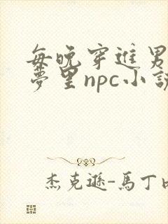 每晚穿进男神的梦里npc小说