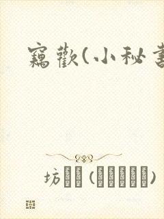 窃欢(小秘书)封面