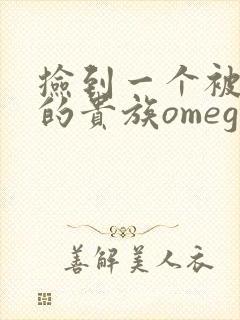 捡到一个被抹布的贵族omega