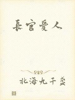 长官爱人封面