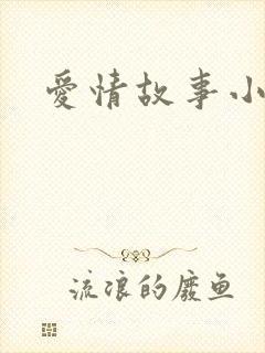 爱情故事小说