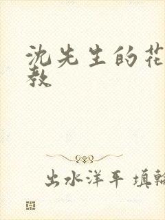 沈先生的花式管教