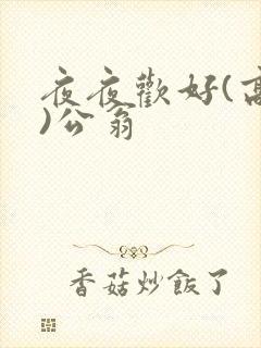 夜夜欢好(高h)公翁封面