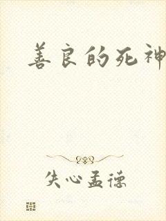善良的死神小说