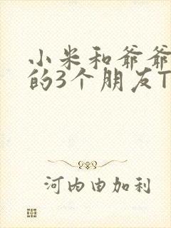 小米和爷爷和他的3个朋友TXT封面