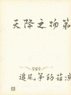 天降之物第一季