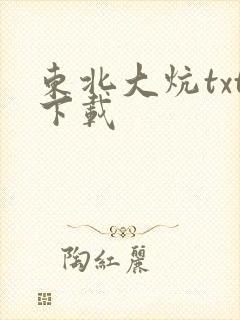 东北大炕txt下载封面