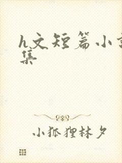 h文短篇小说合集