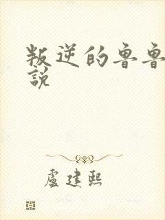 叛逆的鲁鲁修小说