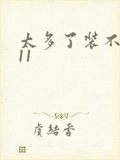 太多了装不下H11封面