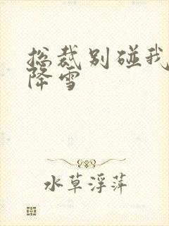 总裁别碰我 韩降雪