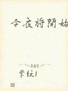 今夜将开始小说